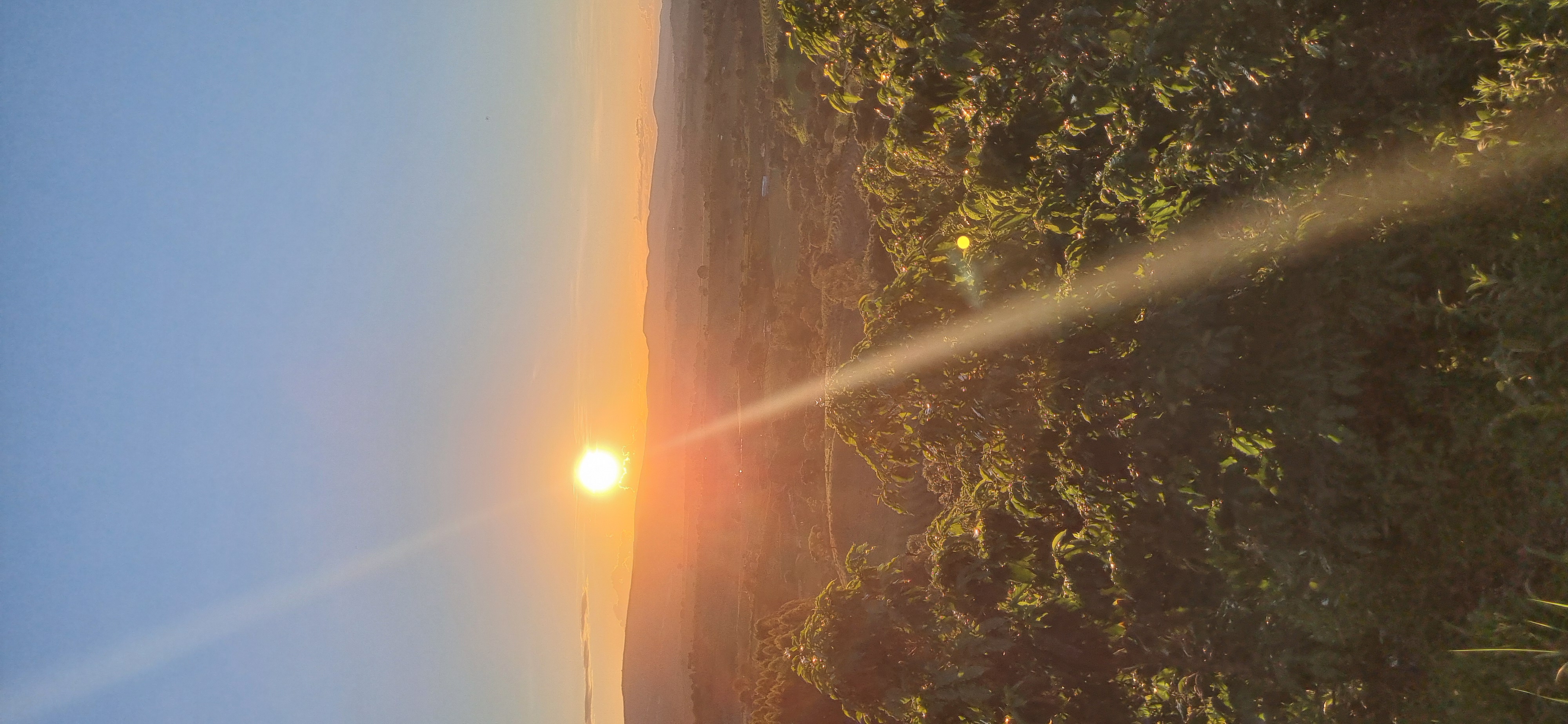 Família Silva na fazenda